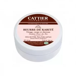 BEURRE DE KARITE FLEUR DES ILES 100G